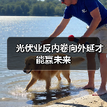 光伏业反内卷向外延才能赢未来（图2）