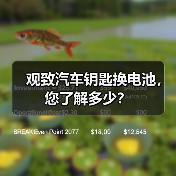 观致汽车钥匙换电池，您了解多少？（图3）