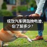 观致汽车钥匙换电池，您了解多少？
