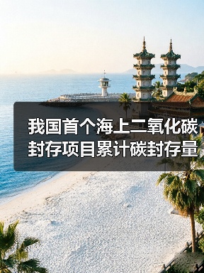 我国首个海上二氧化碳封存项目累计碳封存量突破1亿立方米（图4）