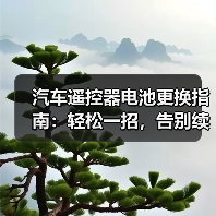 汽车遥控器电池更换指南：轻松一招，告别续航焦虑（图3）