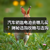 汽车钥匙电池去哪儿买？揭秘选购攻略与选购