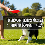 电动汽车电池寿命之谜:如何延长你的“电力心脏”?(图3) 电动汽车电池寿命之谜:如何延长你的“电力心脏”?(图3)