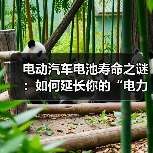 电动汽车电池寿命之谜:如何延长你的“电力心脏”?(图2) 电动汽车电池寿命之谜:如何延长你的“电力心脏”?(图2)