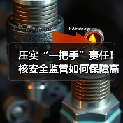 压实“一把手”责任!核安全监管如何保障高质量发展?(图2) 压实“一把手”责任!核安全监管如何保障高质量发展?(图2)