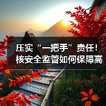 压实“一把手”责任!核安全监管如何保障高质量发展?(图4) 压实“一把手”责任!核安全监管如何保障高质量发展?(图4)