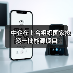 中企在上合组织国家投资一批能源项目（图2）