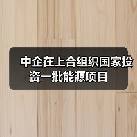 中企在上合组织国家投资一批能源项目（图3）