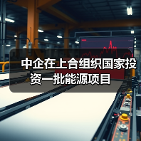 中企在上合组织国家投资一批能源项目（图4）