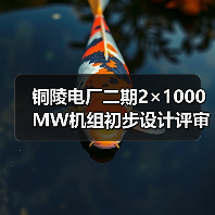 铜陵电厂二期2×1000MW机组初步设计评审服务招标：关键信