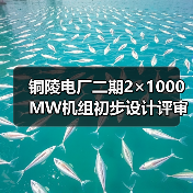 铜陵电厂二期2×1000MW机组初步设计评审服务招标：关键信息与技术要求解析（图4）
