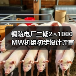 铜陵电厂二期2×1000MW机组初步设计评审服务招标：关键信息与技术要求解析（图2）