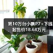 第10万台小鹏P7+下线，起售价18.68万元，距上市约14月（图1）