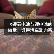 《镍氢电池与锂电池的较量:谁是汽车动力系统的未来?》(图2) 《镍氢电池与锂电池的较量:谁是汽车动力系统的未来?》(图2)