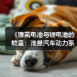 《镍氢电池与锂电池的较量:谁是汽车动力系统的未来?》(图3) 《镍氢电池与锂电池的较量:谁是汽车动力系统的未来?》(图3)