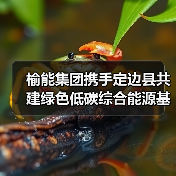榆能集团携手定边县共建绿色低碳综合能源基地（图4）