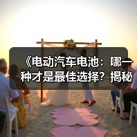 《电动汽车电池:哪一种才是最佳选择?揭秘动力源的秘密》(图4) 《电动汽车电池:哪一种才是最佳选择?揭秘动力源的秘密》(图4)