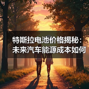 特斯拉电池价格揭秘:未来汽车能源成本如何影响您的购车决策?(图4) 特斯拉电池价格揭秘:未来汽车能源成本如何影响您的购车决策?(图4)