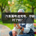 汽车蓄电池充电，你做对了吗？（图1）