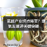氢能产业拐点将至?绿氢发展迎关键突破(图4) 氢能产业拐点将至?绿氢发展迎关键突破(图4)