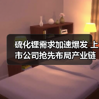 硫化锂需求加速爆发 上市公司抢先布局产业链(图3) 硫化锂需求加速爆发 上市公司抢先布局产业链(图3)