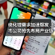 硫化锂需求加速爆发 上市公司抢先布局产业链(图2) 硫化锂需求加速爆发 上市公司抢先布局产业链(图2)