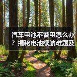 汽车电池不蓄电怎么办？揭秘电池续航难题及解决之道（图3）