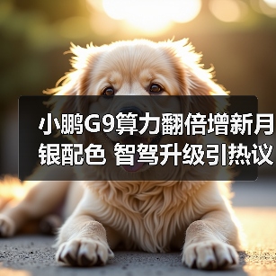 小鹏G9算力翻倍增新月银配色 智驾升级引热议（图2）