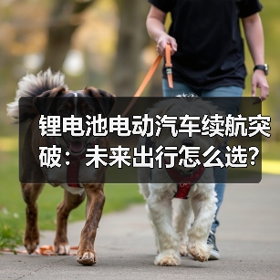 锂电池电动汽车续航突破：未来出行怎么选？（图4）