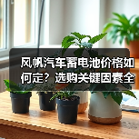 风帆汽车蓄电池价格如何定?选购关键因素全解析(图2) 风帆汽车蓄电池价格如何定?选购关键因素全解析(图2)