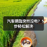 汽车钥匙突然没电？5步轻松解决（图4）