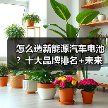 怎么选新能源汽车电池?十大品牌排名+未来趋势全解析(图3) 怎么选新能源汽车电池?十大品牌排名+未来趋势全解析(图3)