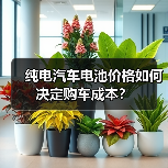 纯电汽车电池价格如何决定购车成本？
