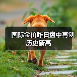 国际金价昨日盘中再创历史新高(图4) 国际金价昨日盘中再创历史新高(图4)