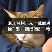 浙江台州:从“截取送检”到“现场B超” 电力物资“体检”添新招(图3) 浙江台州:从“截取送检”到“现场B超” 电力物资“体检”添新招(图3)