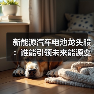 新能源汽车电池龙头股：谁能引领未来能源变革？（图3）