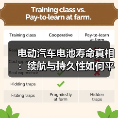 电动汽车电池寿命真相：续航与持久性如何平衡？（图4）