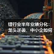 锂行业半年业绩分化：龙头逆袭，中小企如何破局？