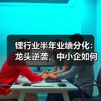 锂行业半年业绩分化:龙头逆袭,中小企如何破局?(图4) 锂行业半年业绩分化:龙头逆袭,中小企如何破局?(图4)