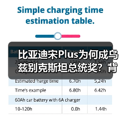 比亚迪宋Plus为何成乌兹别克斯坦总统奖？背后原因揭秘（图2）