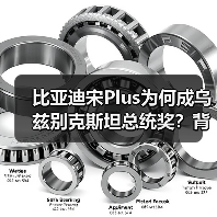 比亚迪宋Plus为何成乌兹别克斯坦总统奖？背后原因揭秘