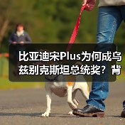 比亚迪宋Plus为何成乌兹别克斯坦总统奖？背后原因揭秘（图3）