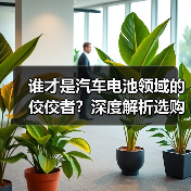 谁才是汽车电池领域的佼佼者?深度解析选购指南与未来趋势(图3) 谁才是汽车电池领域的佼佼者?深度解析选购指南与未来趋势(图3)