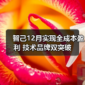 智己12月实现全成本盈利 技术品牌双突破(图4) 智己12月实现全成本盈利 技术品牌双突破(图4)