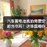 汽车蓄电池真的需要定期充电吗?这些真相你必须知道(图2) 汽车蓄电池真的需要定期充电吗?这些真相你必须知道(图2)