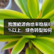 我国能源自给率稳居80%以上，绿色转型如何引领全球？