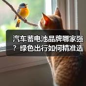 汽车蓄电池品牌哪家强?绿色出行如何精准选购?(图4) 汽车蓄电池品牌哪家强?绿色出行如何精准选购?(图4)