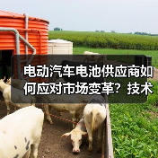 电动汽车电池供应商如何应对市场变革?技术创新与可持续发展之路(图2) 电动汽车电池供应商如何应对市场变革?技术创新与可持续发展之路(图2)