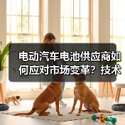 电动汽车电池供应商如何应对市场变革?技术创新与可持续发展之路(图4) 电动汽车电池供应商如何应对市场变革?技术创新与可持续发展之路(图4)