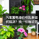 汽车蓄电池价格乱象如何解决?统一价格能否打破僵局?(图3) 汽车蓄电池价格乱象如何解决?统一价格能否打破僵局?(图3)